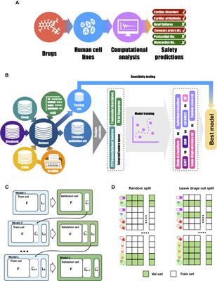 Dual Transcriptomic and Molecular Machine Learning Predicts all Major Clinical Forms of Drug Cardiotoxicity